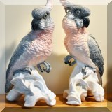 C13. Staffordshire cockatoos.